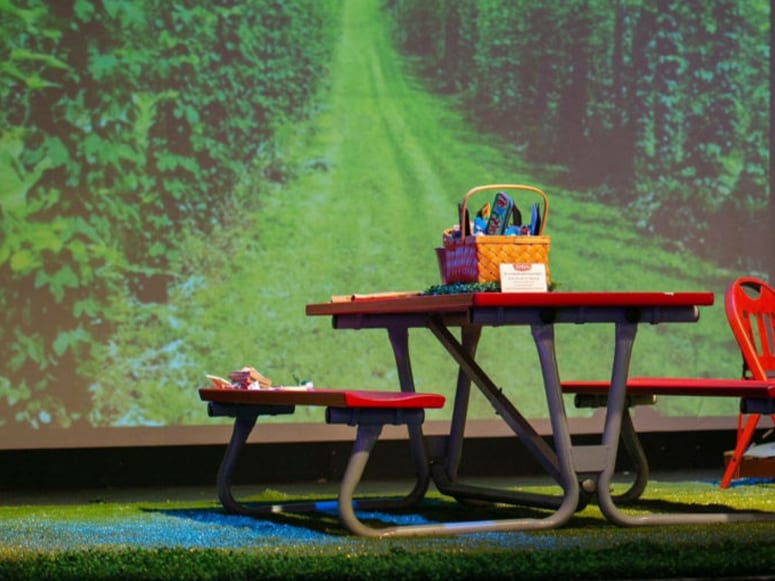 Staged picnic centerpiece featuring Playground Grass® Ultra at the Arts on Tap fundraiser event